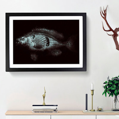 A Blue Fish - Framed Print