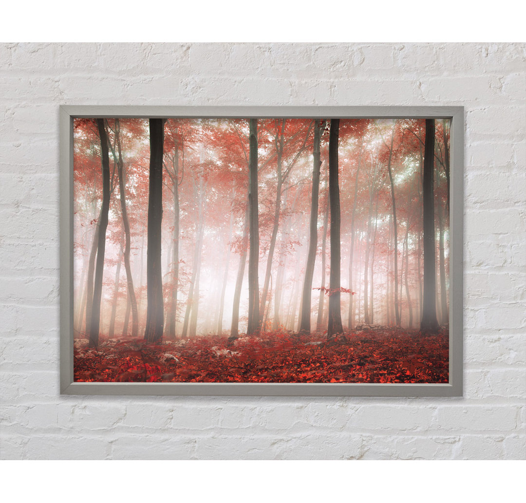 Red Misty Woods - Einzelner Bilderrahmen Kunstdrucke auf Leinwand