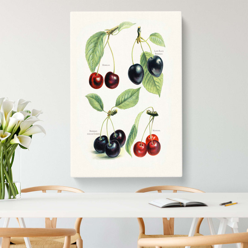 Vintage Illustrations Of Cherries - Wrapped Canvas Painting, 60cm H x 40cm W x 3cm D