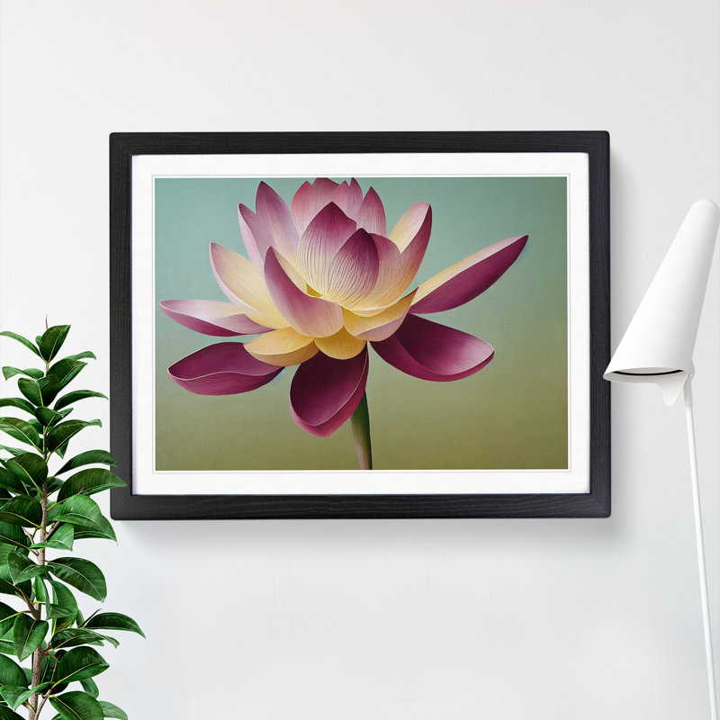 Shining Lotus Flower - Framed Print, Black, 46cm H x 64cm W x 2cm D