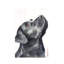 Black Labrador by George Dyachenko - Wrapped Canvas Print-1622270186-1639598063-1639598054
