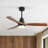Nicola 52'' 3 - Blade Modern Ceiling Fan with Remote Control and Light Kit-1194857035
