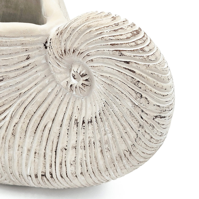 Textured Beige Sand And Cement Shell Planter Ideal For Herbs Adding A Peaceful Ambiance To Your Bedroom 11.5X6.7X7.7 Inches With Shape Neutral Color Trailing Plant Garden