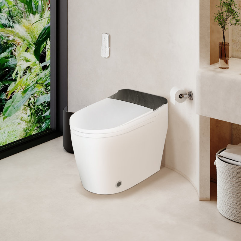 BirchLn Smart Elongated Toilet, Heated Seat, Auto Open/Close, Foot Sensor, Warm Water, Dryer & Night Light