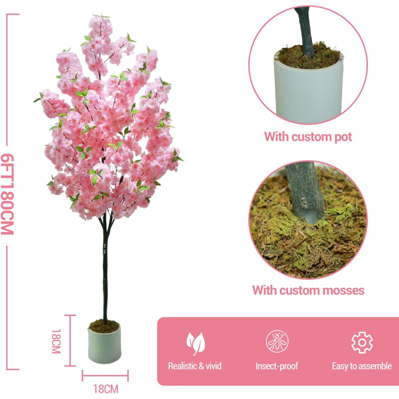 180cm Plant