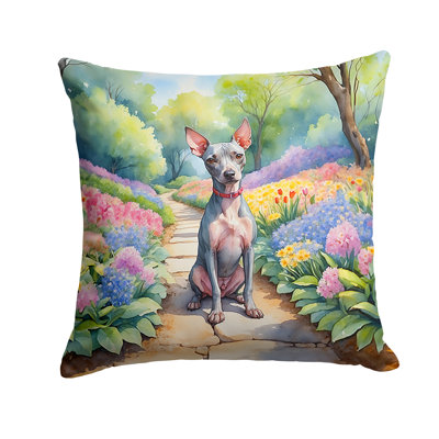 Spring Path Outdoor Throw Pillow