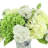 Mixed Hydrangeas In Decorative Vase