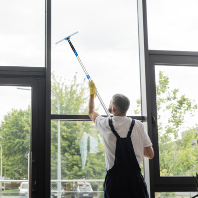 Window Washing Kit with Swivel Window Squeegee and 6' Telescopic Pole