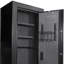 9.33 Cubic Ft Tall Biometric Rifle Safe