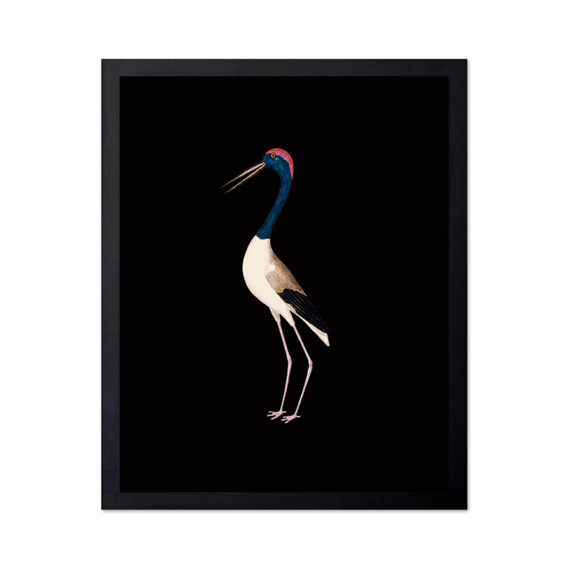 Grue n ° 1, Black Framed, Poster, 08"H x 10"W