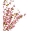 Artificial Plant CHERRY TREE Pink-172241887