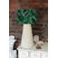 Cotton Drum ( Uno )-1370777530