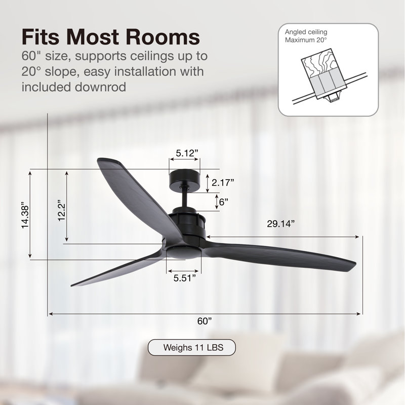 60in 3-Blades Indoor Ceiling Fan with Remote Control, Black