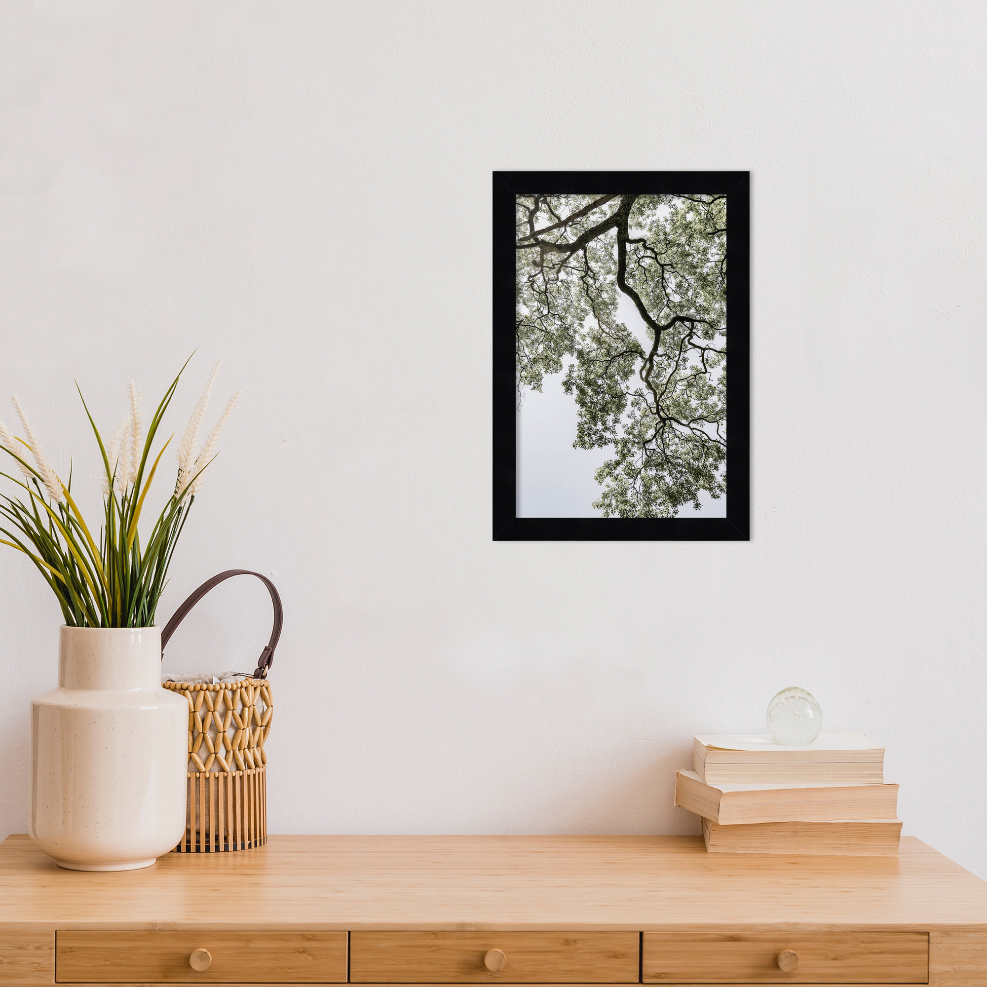 Coastal Forest by Shot by Clint Wood Framed Wall Art Print, 13" H x 9" W, Black