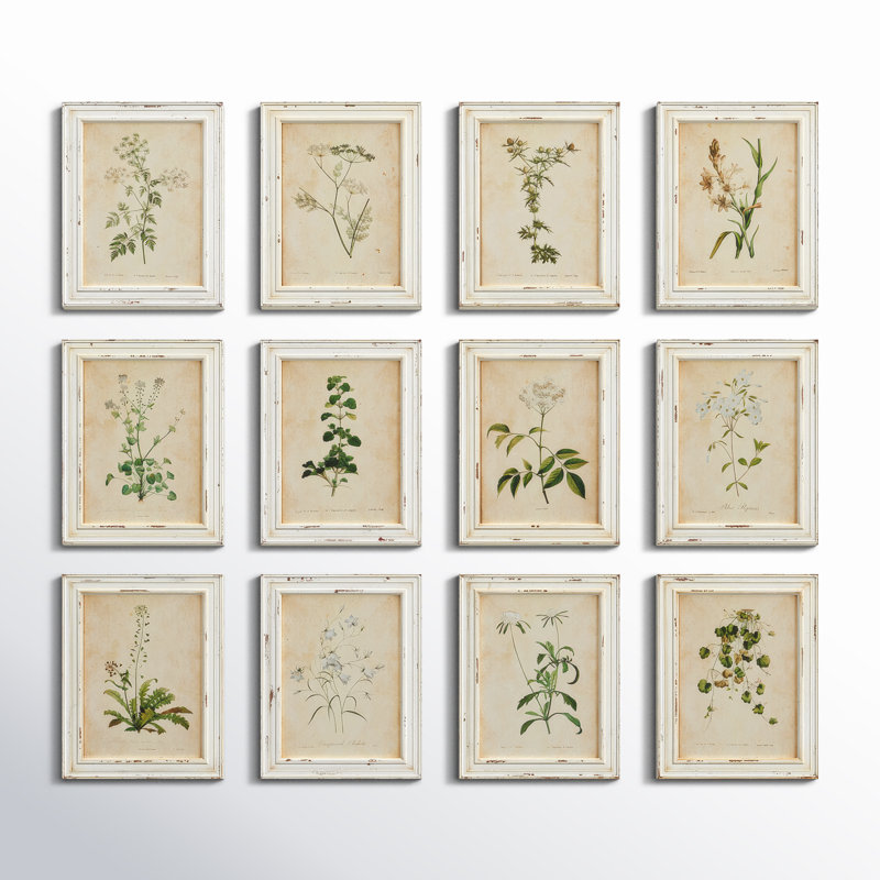 Wild Flower Botanical Set