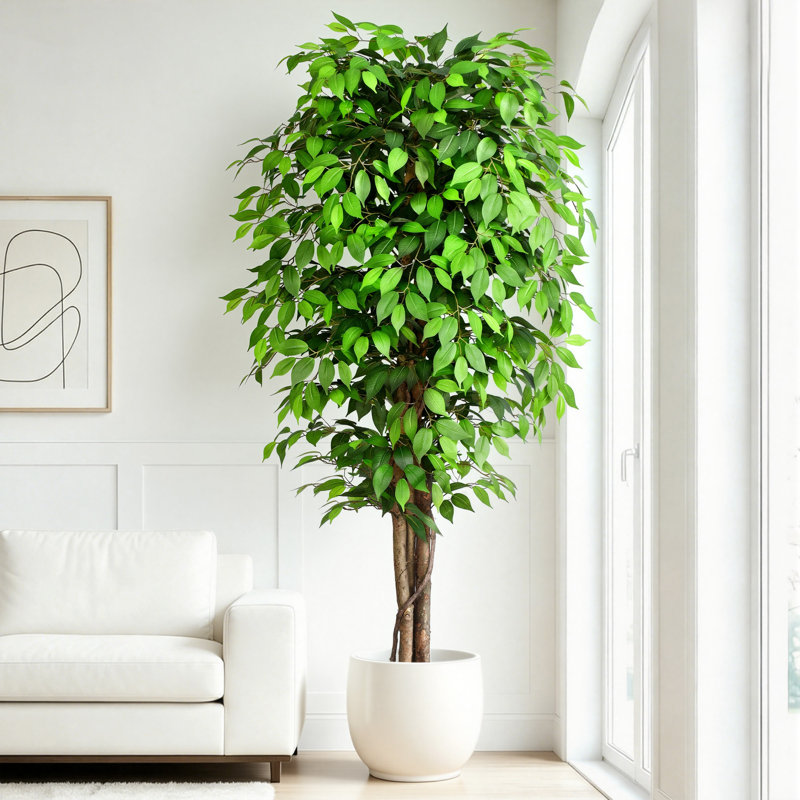 Grand ficus artificiel de 7 pi - grand ficus artificiel en pot noir - ficus artificiel pour espaces commerciaux, halls d'entrée d'hôtel et décoration intérieure