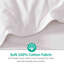 All Season Down Comforter-887388560