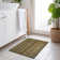 Machine Washable Indoor/Outdoor Claudian ACN1654 Brown Rug