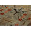One-of-a-Kind 3'1x12'4 Hand Knotted Area Rug