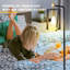 Lampe sur pied industrielle pour salon