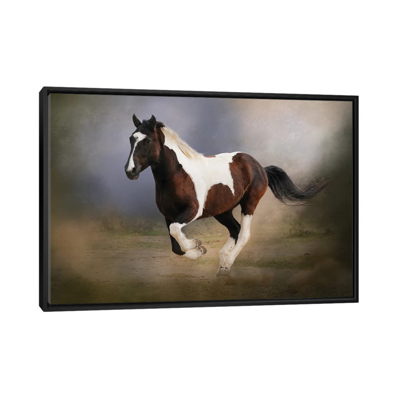 A Run Through The Mist by Rhonda Thompson - Floater Frame Print on Canvas