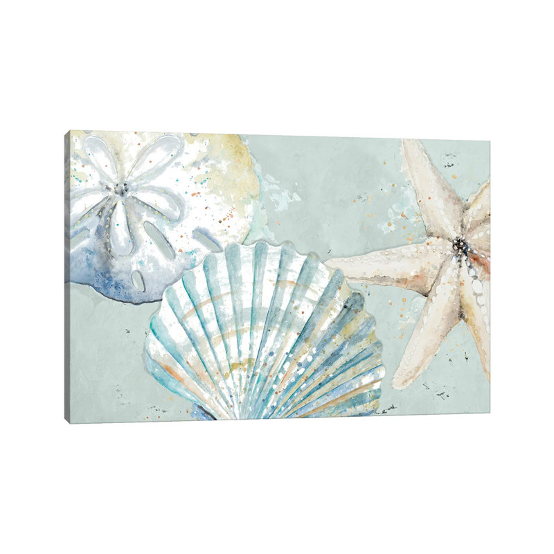 Beach Shells- Gallery-Wrapped Canvas Giclée