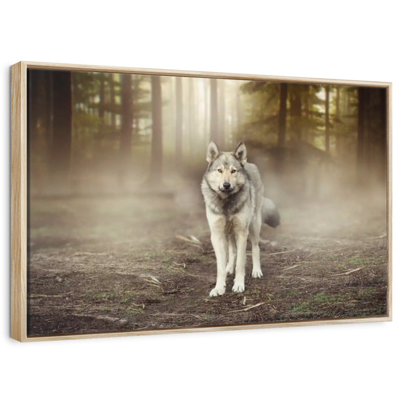 Loup audacieux, Cadre flottant en bois naturel, 37 po x 25 po