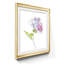 Simple Study III par J Paul - reproduction d'art encadrée-598418599-598418596