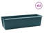 Planter-1692342295-1692342296