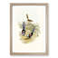 Lovely Wrens by Elizabeth Gould - Framed Print-55577286-55577287