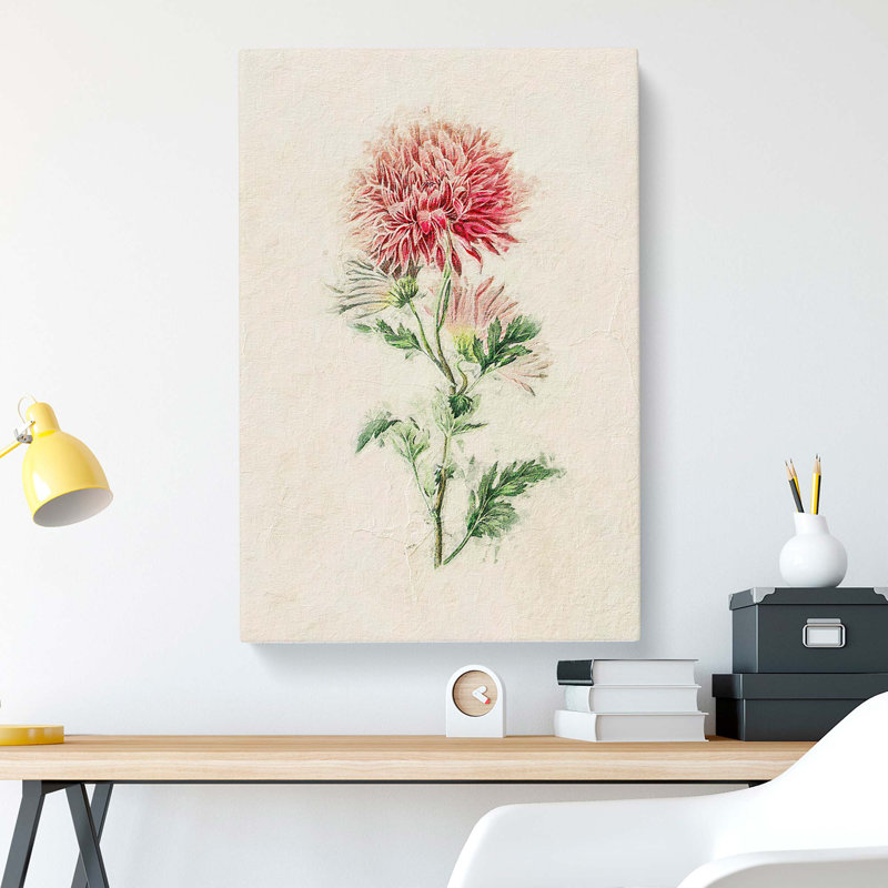 Illustration Of Pink Chrysanthemums - Wrapped Canvas Painting, 76cm H x 50cm W x 3cm D