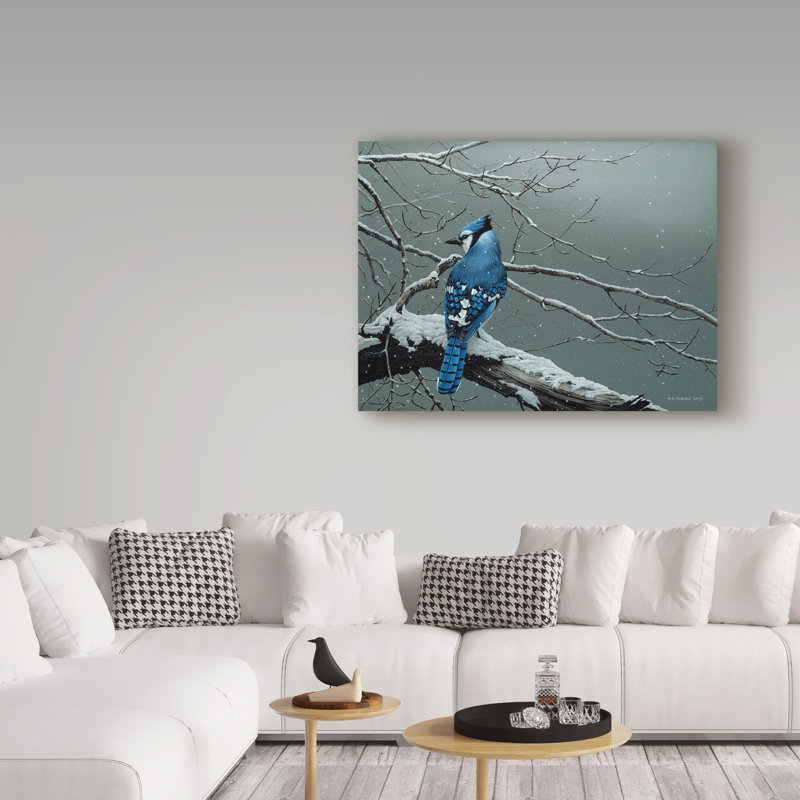 «Winter Jay» par Etelca, impression sur toile tendue, H 14 po x l 19 po x P 2 po