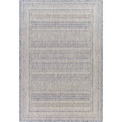 Ilenne Oriental Area Rug in Blue