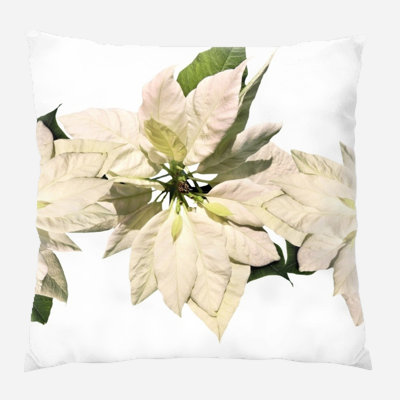  Coussin Christmas