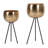 Rustic Lodge 4 - Light Dimmable Bath Bar