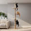 Tour d'escalade pour arbre à chat Cristinel
