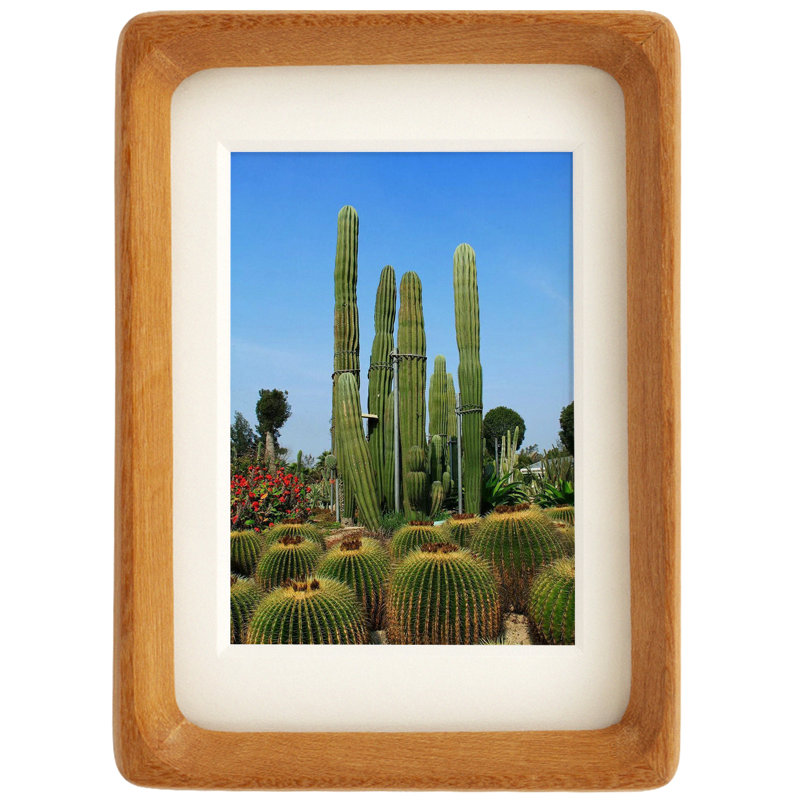 Wood Picture Frame with Mat, Desk or Wall Display Mid Century Rounded Edge Picture Frames, Teak, 8" H x 6" W