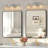 17" Nickel Finish Vintage Crystal Vanity Light - Elegant 3-Light Bathroom Mirror Fixture With Clear Glass Shades (No Bulbs)-1298998816-1298999006-1298999007