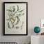 Antique Ammond Botanical IV, reproduction encadrée sur papier-88436195-88436192