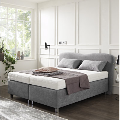 Boxspringbett Aileene