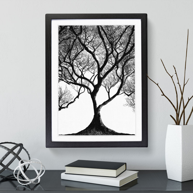 Shadow Of A Tree No.1 - Single Picture Frame Print, Black, 34cm H x 25cm W x 2cm D