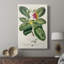 Imperial Tropical Botanical I - galerie Cavas sur mesure-118050439