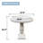 Concrete Birdbath