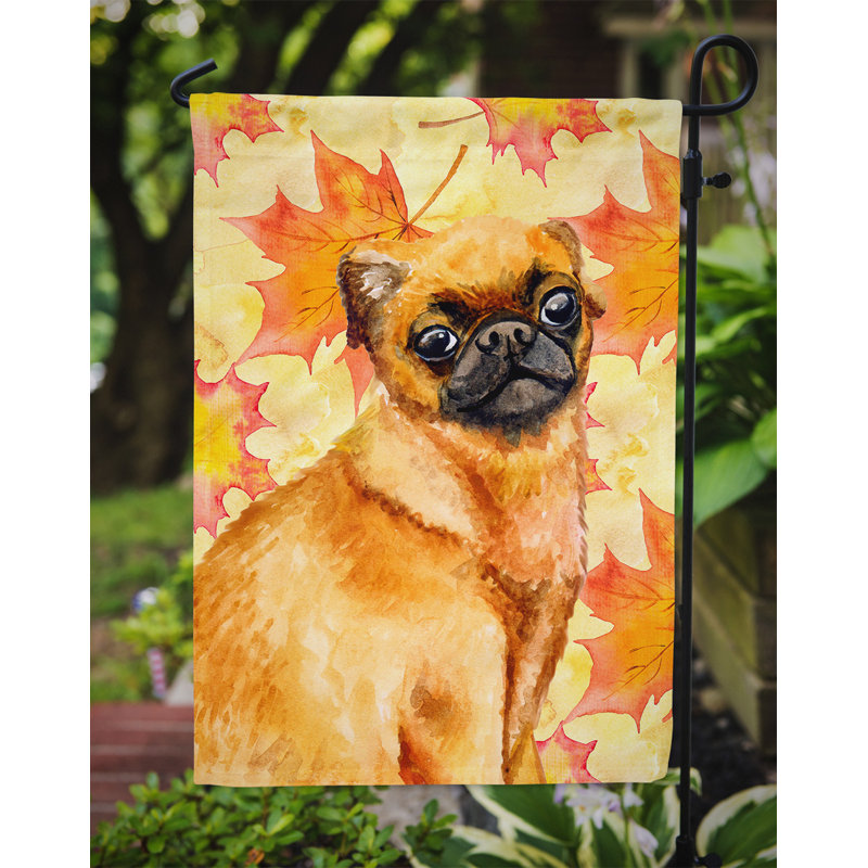 Automne 2 côtés en polyester 15 x 11 po drapeau de jardin, Petit Griffon de Brabant