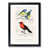 Black Framed selected