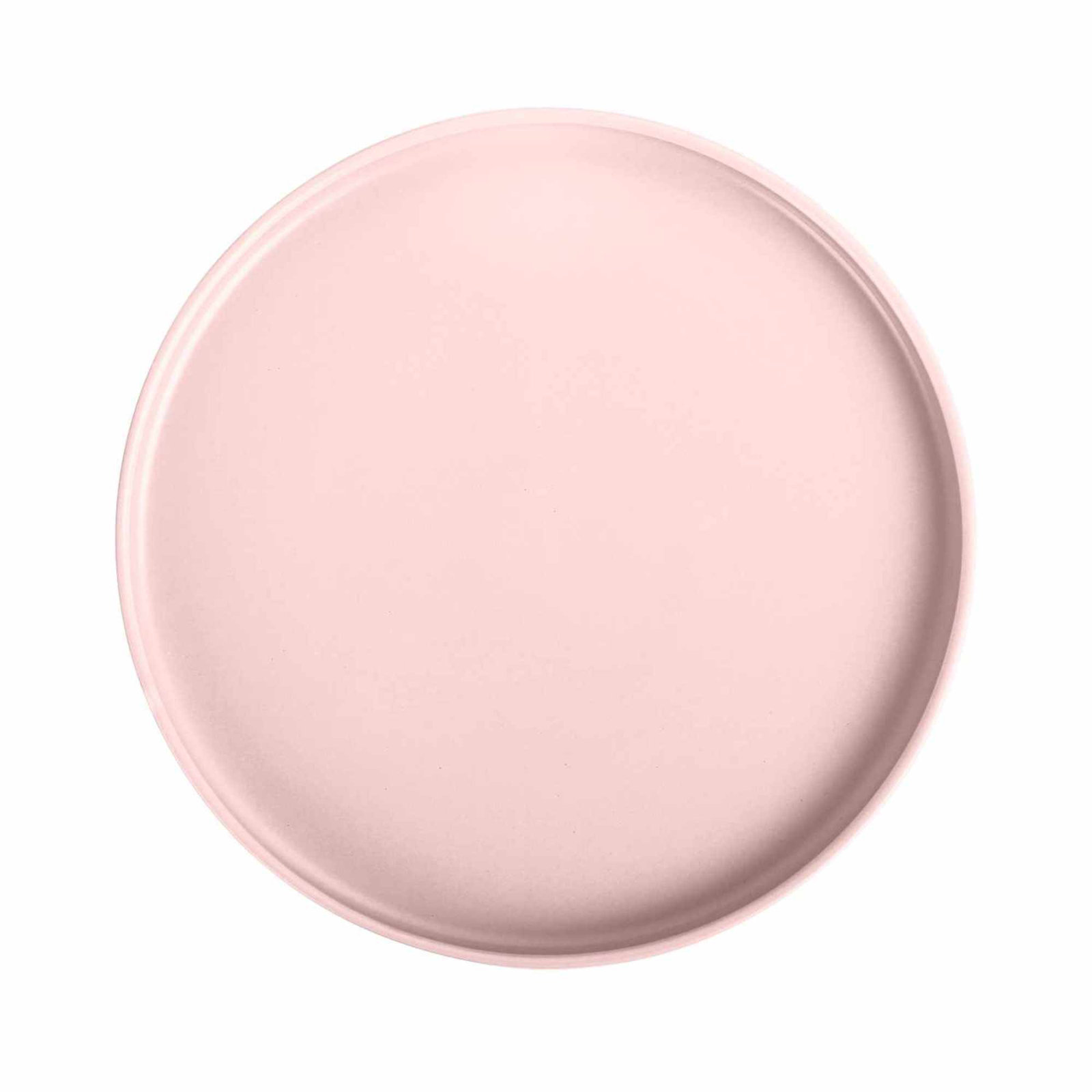 10" Porcelain Dinner Plate, Blush