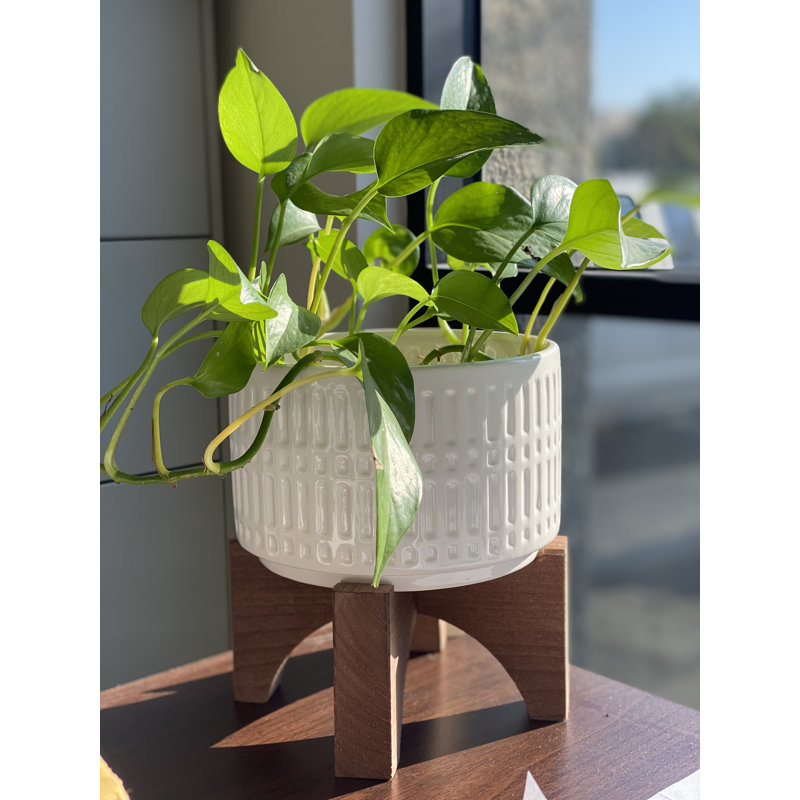 Pot à fleurs en céramique Biwabik, Blanc