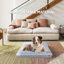 Lit orthopédique confortable pour chien Tucker Murphy Pet ™-1319902444