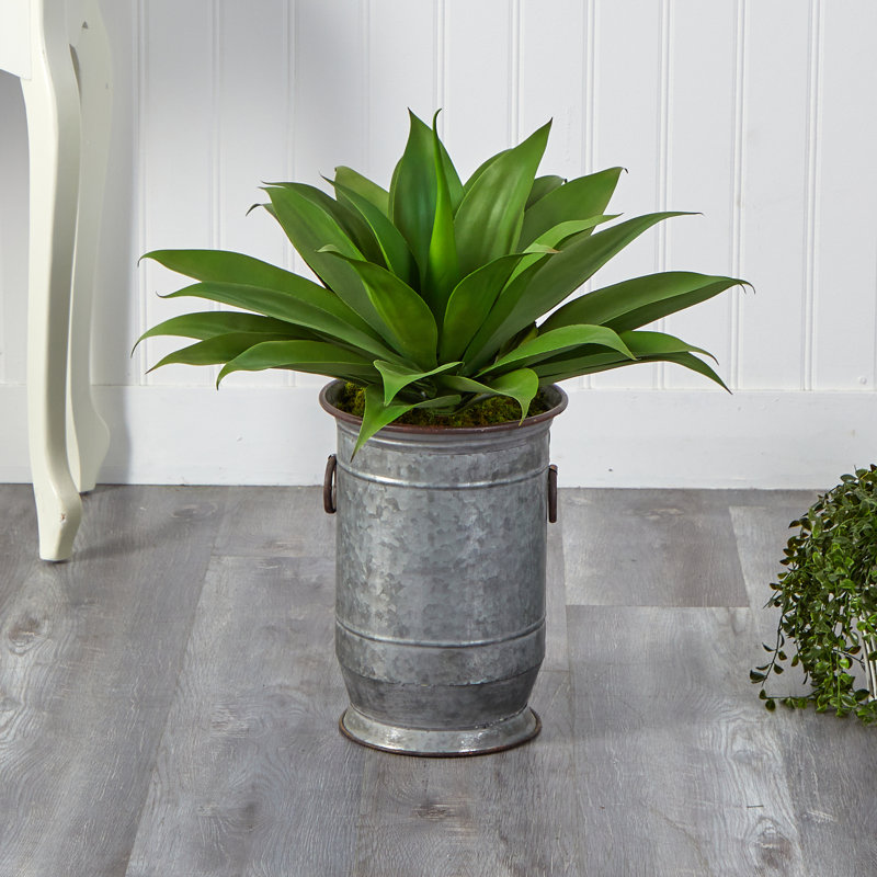 Plante grasse artificielle 26 po en pot