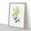 Yellow Daisies - Picture Frame Painting Print-55613914-55613915